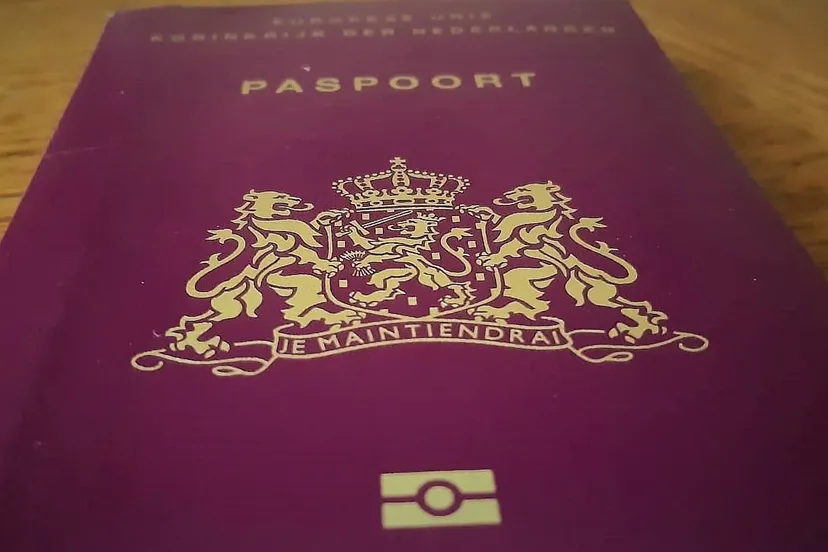 215210295 567050134430060 4030694789176934713 n