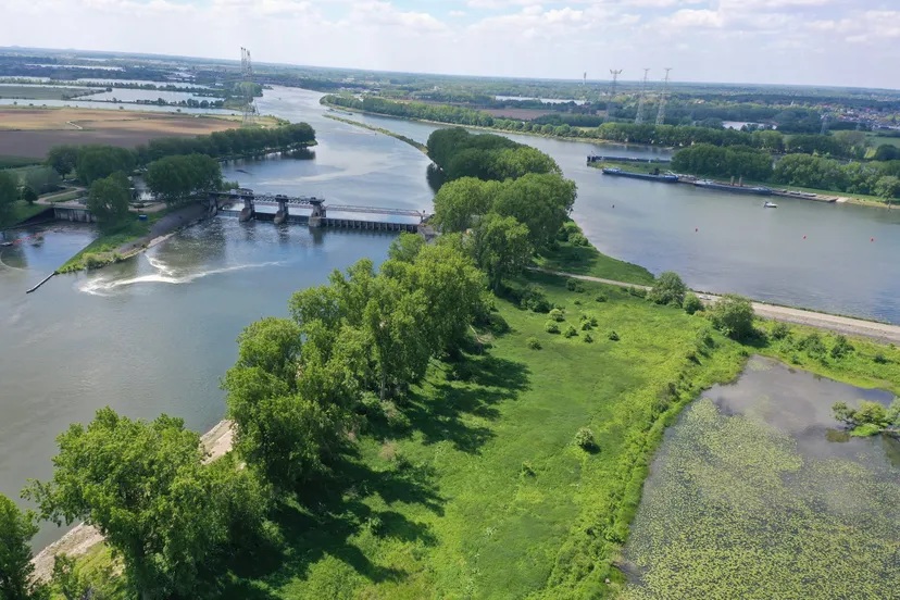 215449985 177011407799574 1985054717053023293 n