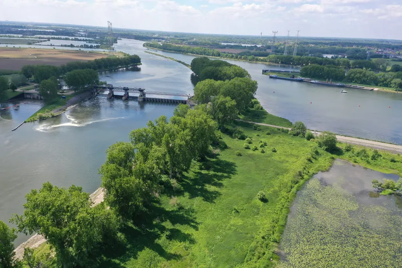 215449985 177011407799574 1985054717053023293 n