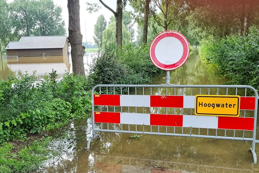 221667368 182289090605139 4259007610493185951 n