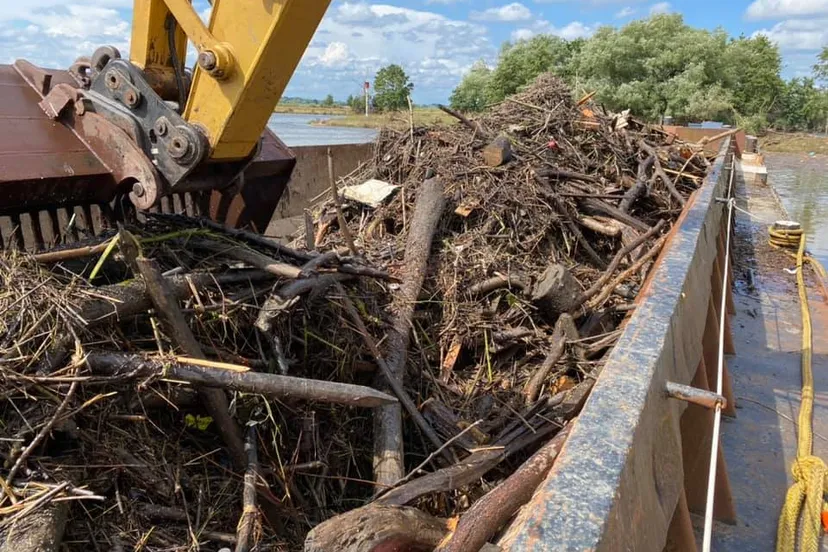 224352508 2046729832159967 4295800072751768217 n