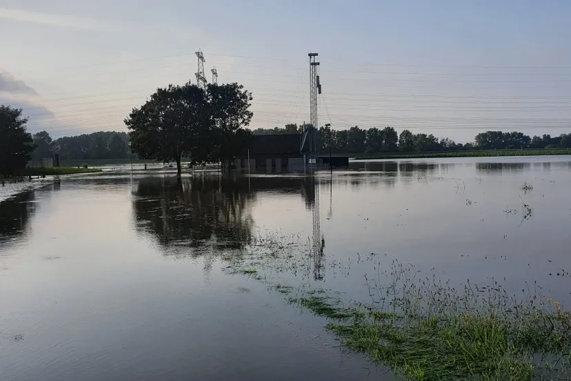 228895089 189693339864714 2929981206190656002 n