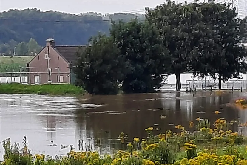 233356373 196577852509596 192174155093145955 n