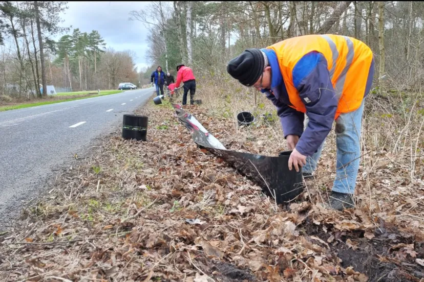 273833687 315105333990180 129524596325321103 n