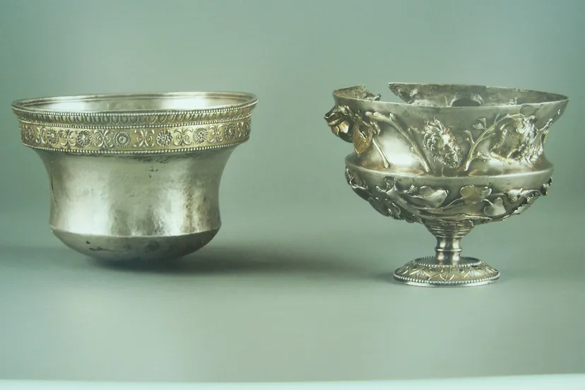 276043695 338315831669130 6422062800379318021 n