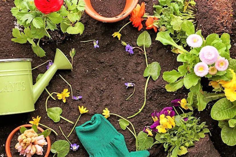 306225224 454336796733699 9077397572688170626 n