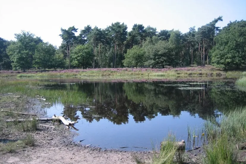 386192 499294913432202 1840729685 n