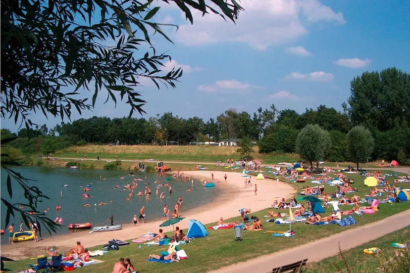 67486203 2247024105410088 6867326353214013440 n