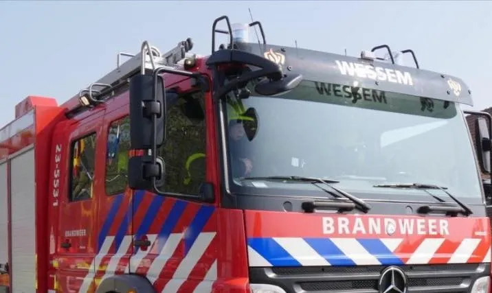 69499790 2409142639331898 194176231661371392 n