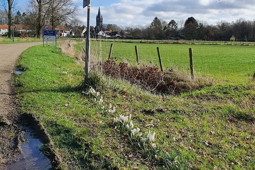 88336121 2706852942760533 1289794578957729792 o