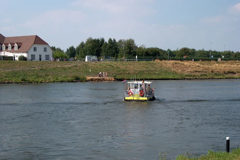 91484257 2763349347110892 6395800649908355072 o