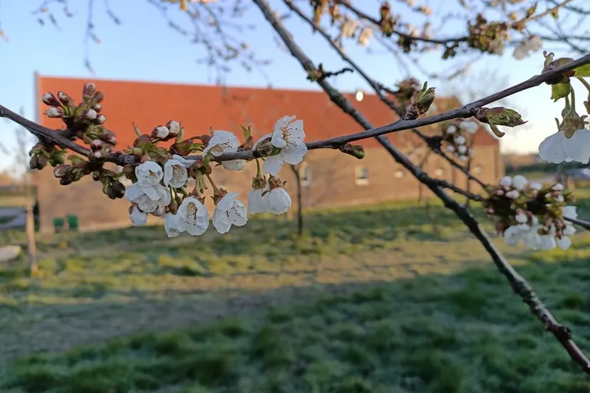 92430272 3233275303384279 8265716135119290368 o