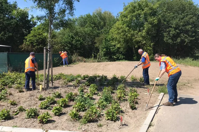 98179465 2629181320660069 8335589295905570816 n