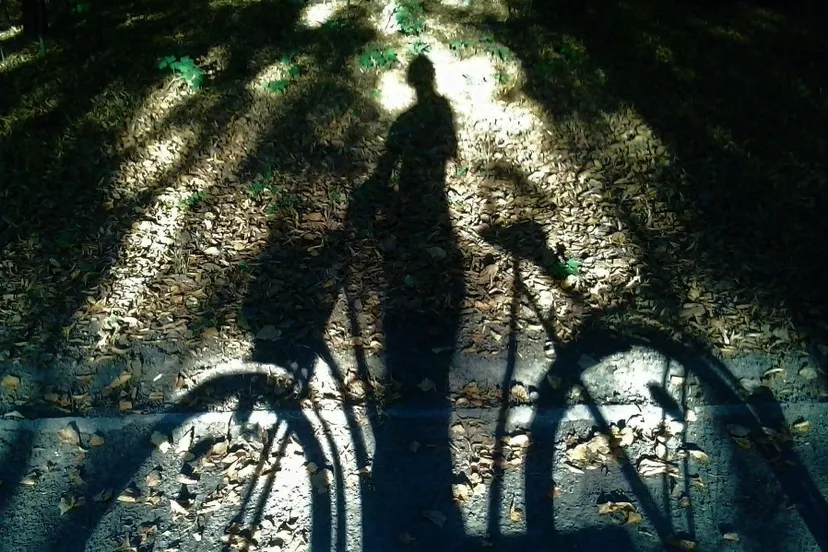 bike g4e73bc1bc 1920