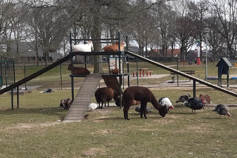 breedeerkes park 20220312 122827