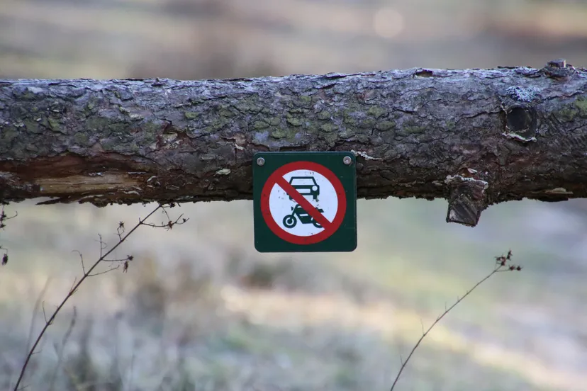 divorced 1200041 1920