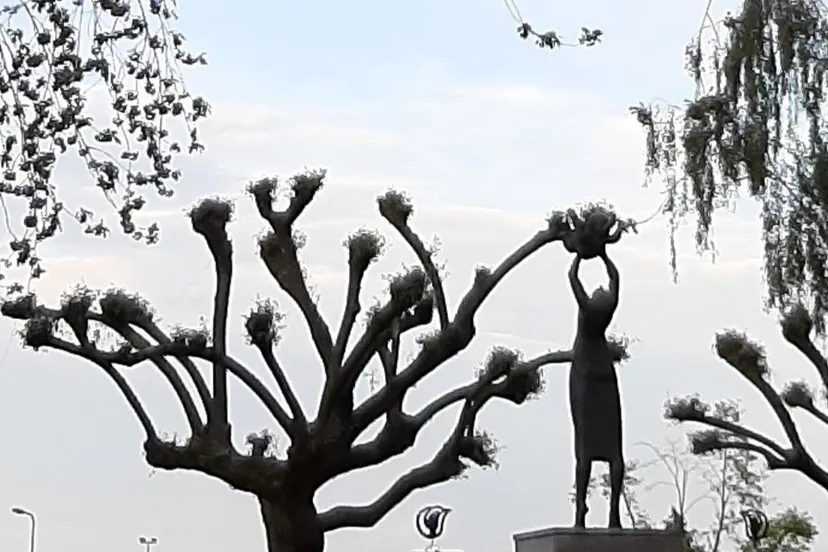 dodenherdenking 4 mei 2023 voorfoto