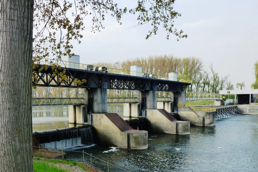 linne maasgouw stuw in de maas