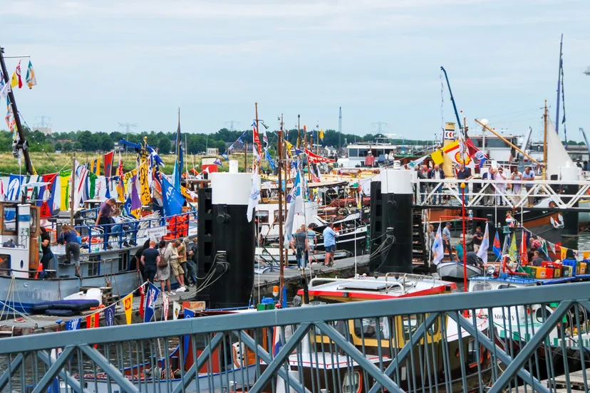 maasbrachter havendagen dsc 1182