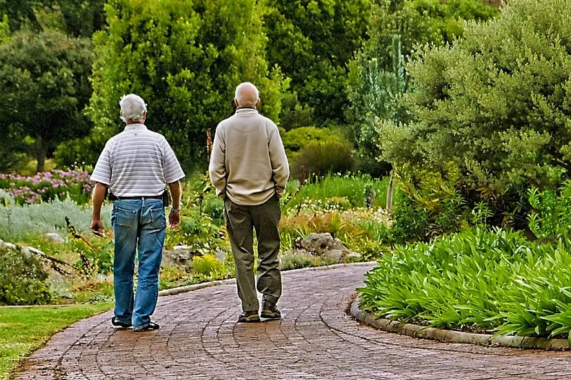 old friends 555527 1920