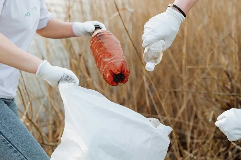 pexels thirdman 7656748 1