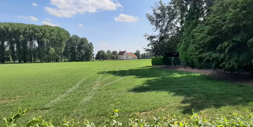 receptie burgemeester 1