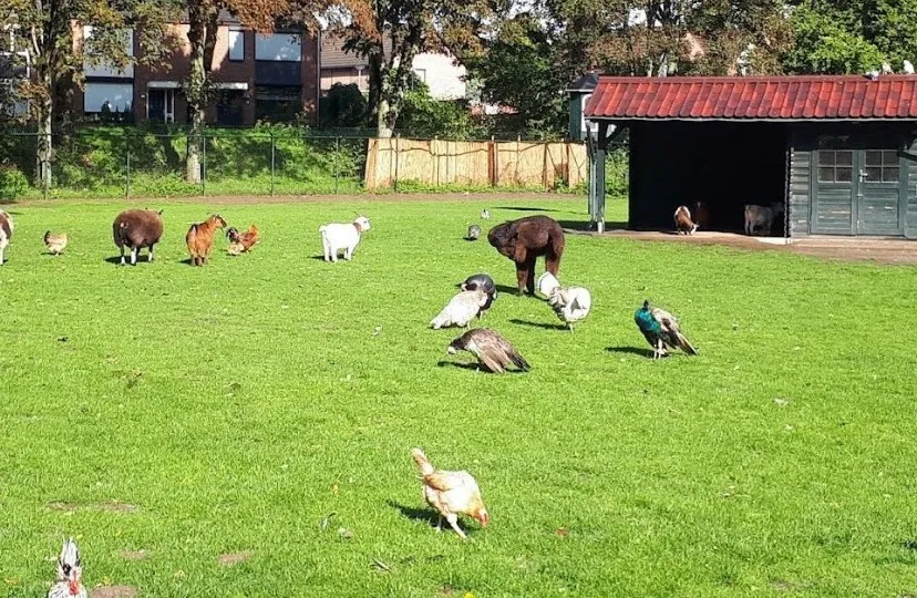 taalwandeling bibliocenter breerpark