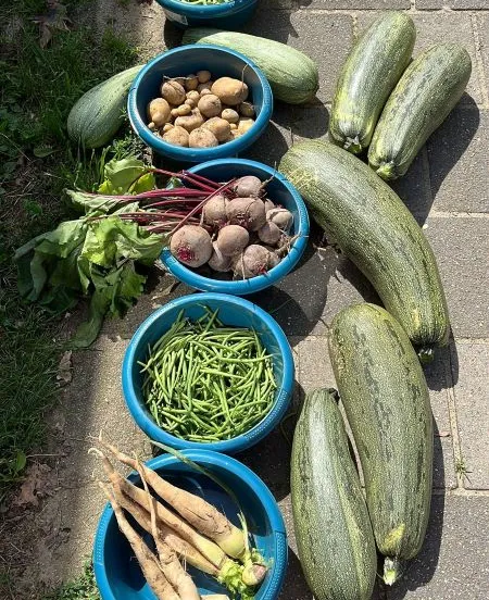 toermalijn komkommers 1