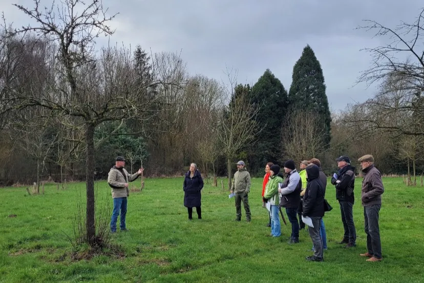 workshop fruitbomen snoeien 1