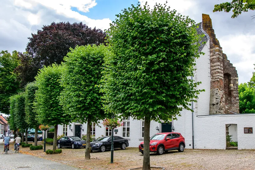 bijzondere bouwstijlen stevensweert 1