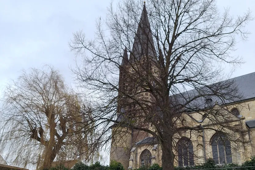 kerkenvisie abdij thorn 1