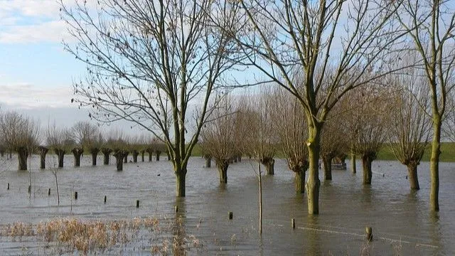 high water 2940596 640 1