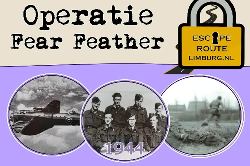 003 escape route fear feather