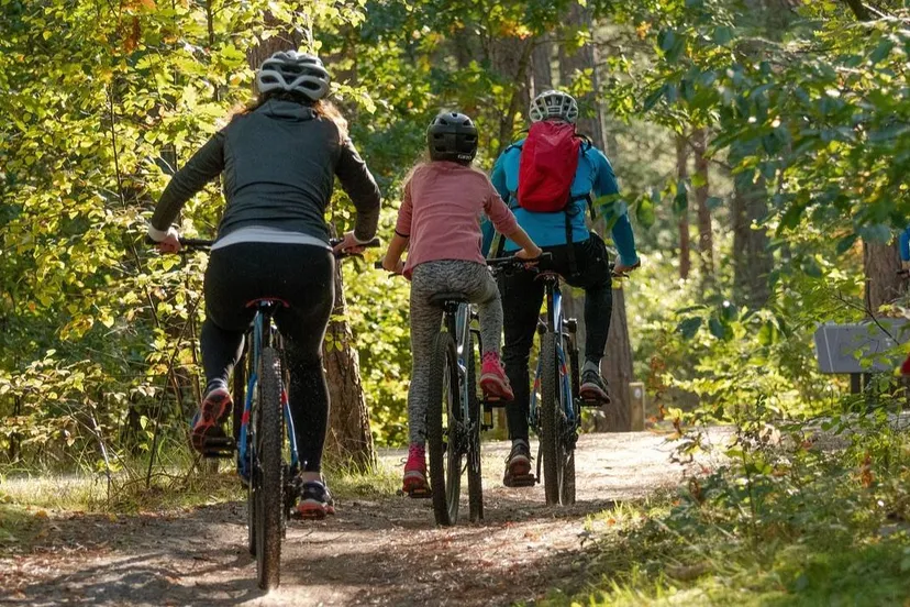 mobiliteit bicycles 5661632 1280 px 1