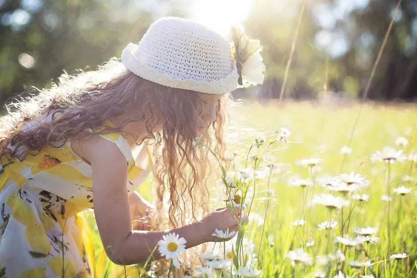 evelien picking flowers 2432972 1920 jillwellington