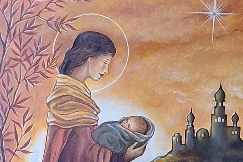 husstege 20241228 150201 1