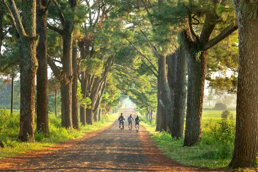 pexels-quang-nguyen-vinh-222549-2131790-1