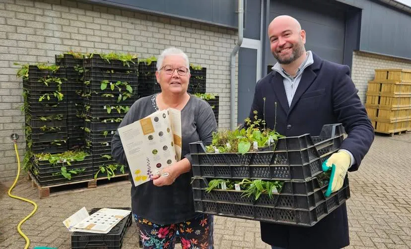 Actie inheemse plantenpakket Maasgouw_FB