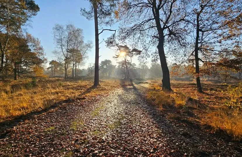 Beegderheide - FB - 598643342_1327479772752726_6648490578820047473_n