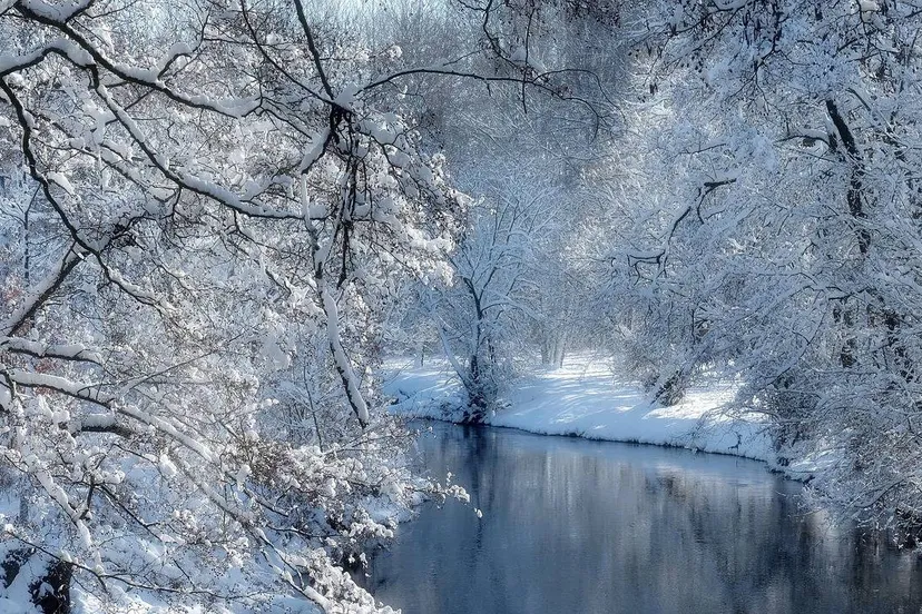 winter-4708076_1280 px-weso99