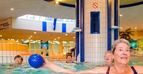 Facebook De Roerdomp -13413903332973472113