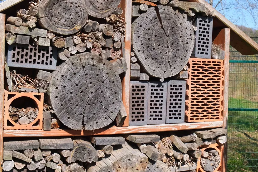 IVN-20260228 insectenhotel-1