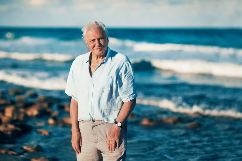 Sir David Attenborough National Geographic