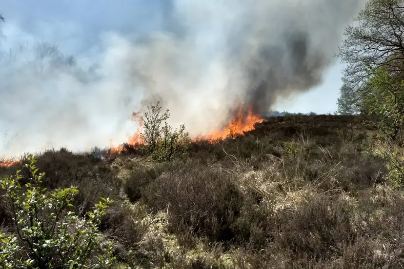 provincie Limburg - natuurbrandrisico