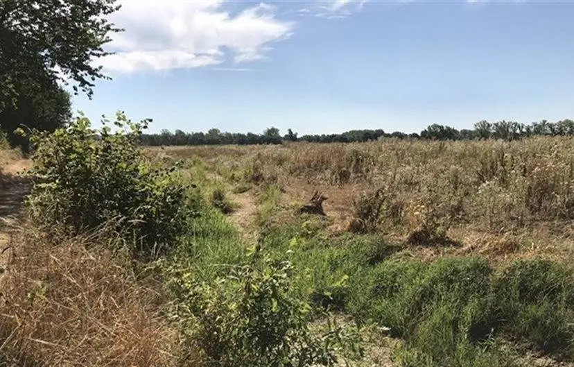 Waterschap Limburg - middelsgraaf_de-doort2
