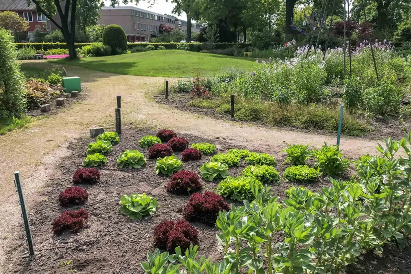1 buurttuin bitswijk uden foto privecollectie