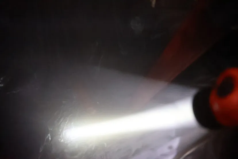 20230309212653 cg4a5772