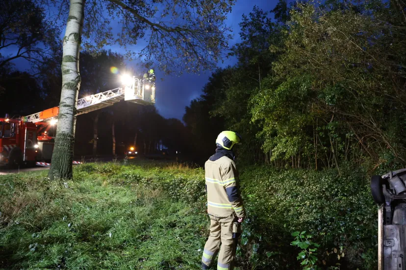 20230923065033 l16a1787