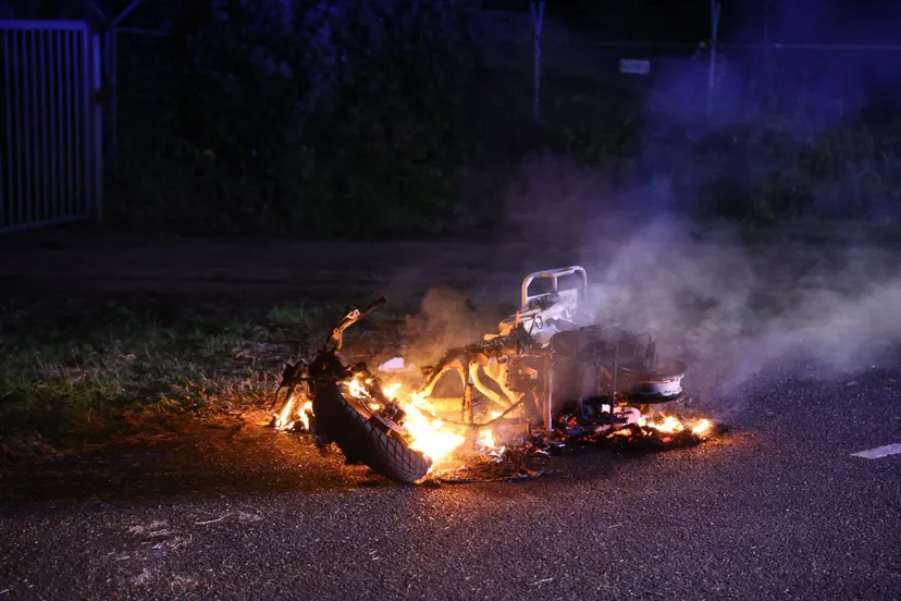 20231202224920 l16a2616