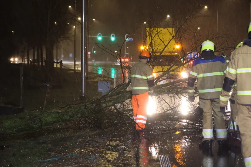 20231221202048 l16a2797